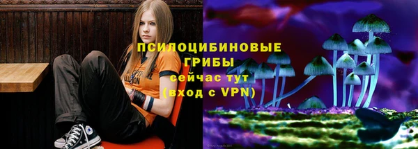 скорость Дубовка