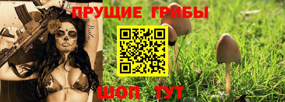Псилоцибиновые грибы Cubensis  Галлюциногенные грибы Cubensis  Вход с VPN  Канск 