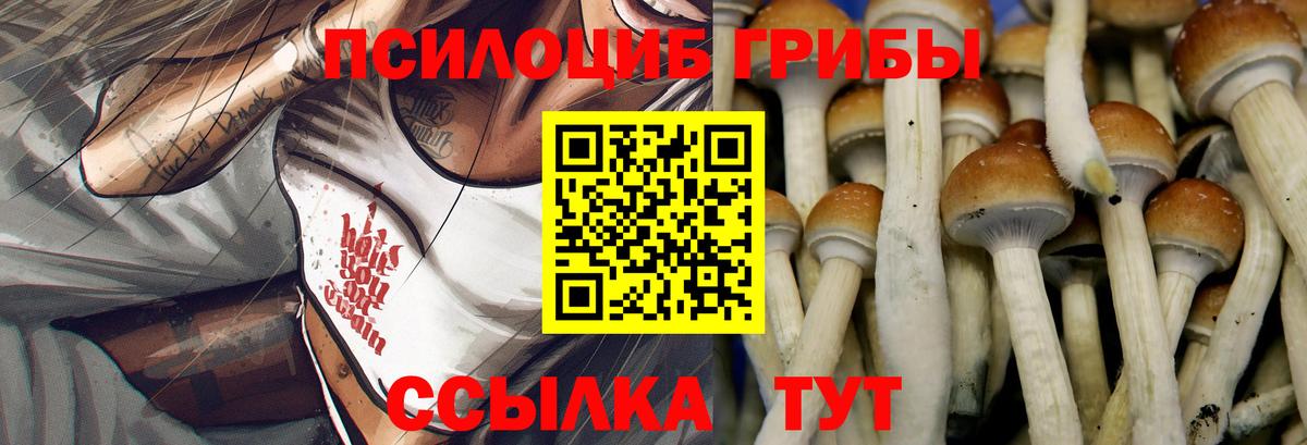Галлюциногенные грибы прущие грибы Канск