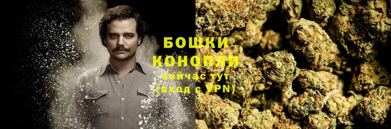 Шишки марихуана THC 21%  mega ссылки  Канск  наркошоп 