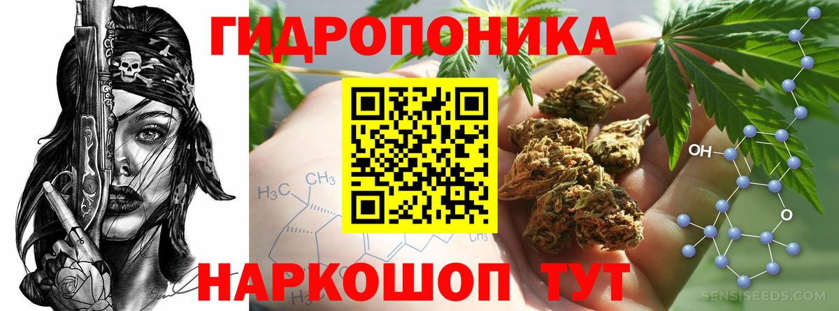 Каннабис семена  Вход с VPN  Канск  Марихуана марихуана 