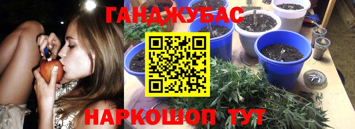 Шишки марихуана Amnesia Канск